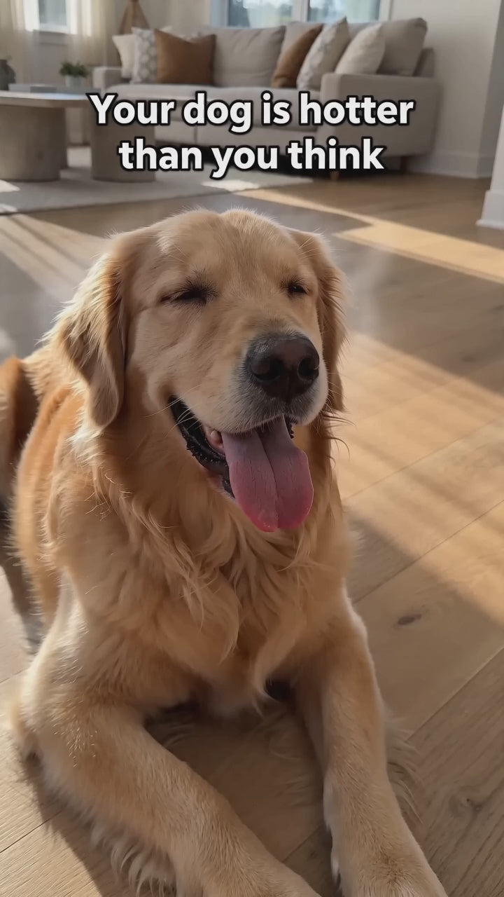 HushMat™ — Self-Cooling Pet Mat for Dogs & Cats